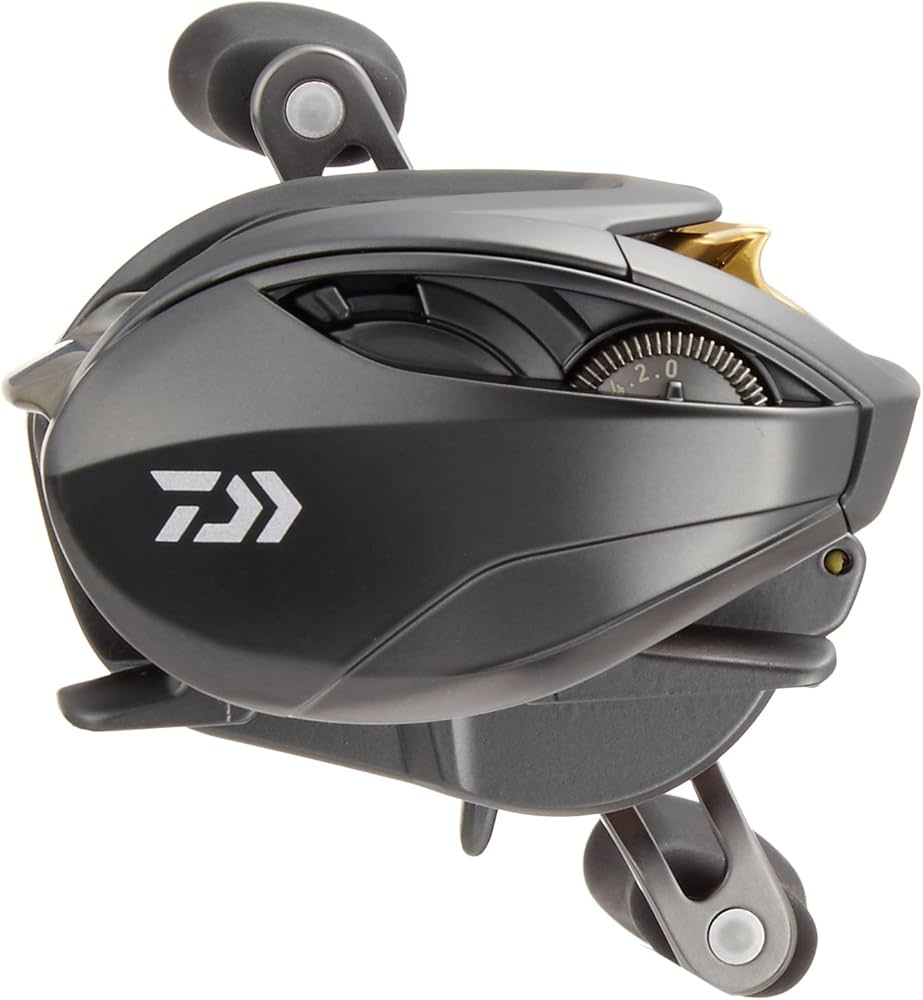 スティーズSV TW 1016SV-HL ダイワ 16 スティーズ SV TW 1016SV-H インプレ - 釣りと釣具を